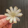 Novo Pearl Grab Clip Back Head Hairpin Mulheres Hairpin Cyber Celebrity Shark Clip elegante Hair Grab Clip Hairclip Headwear