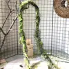 Enredaderas ramas ramitas higuera raíces aéreas trepadoras colocación musgo enredaderas muertas musgo artificial paisajismo estilo bosque colgante de pared decoración de arte floral