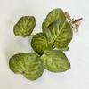 Planta Begônia Artificial Redonda de 7 Cabeças Impressa em 3D com Haste Planta Verde Parede de Fundo com Folha Verde Decoração Folha Falsa Atacado