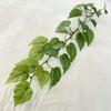 Begonia de ratán puntiaguda de 1.2 metros para colgar en la pared, pared de plantas, techo, decoración de paisajismo de patio, enredadera para colgar, hojas verdes simuladas