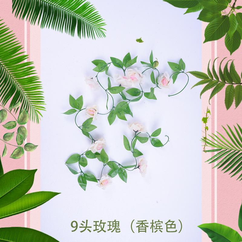 9头玫瑰（香槟色）1_副本