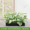 Combinación de paisajismo con plantas verdes artificiales, jardineras, maceteros, decoraciones de flores artificiales, decoración de paisaje con plantas artificiales para escaparates de centros comerciales, interior y exterior