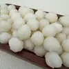 Fornecimento Direto da Fábrica de Raiz de Bodhi Garra de Gato Lótus Contas Soltas DIY, Acessórios Bodhi Artesanais Esculpidos Finamente Despertar do Leão