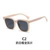 Gafas de sol de moda transfronteriza europea y americana, gafas de sol polarizadas de moda para mujer con montura grande, gafas de sol de placa para vacaciones de ocio al por mayor