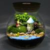 Fabricantes transfronteiriços atacado com tampa LED luz de vidro ecológico pequeno peixe garrafa criativa DIY micro paisagem musgo paisagismo garrafa