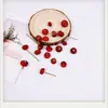 Pendientes de Planta Fruta Bellota Hechos a Mano DIY Fruta Pendientes Personalizados Creativos Material Chica Linda Pendientes Retro