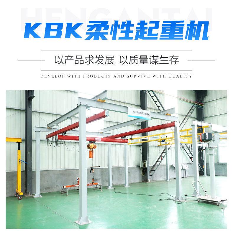 5KBK柔性起重机_10.jpg