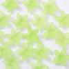 Explosiones Pétalos de Cinco Colores Nacarado Material Bauhinia Acetato Pétalos DIY Horquilla Antigua Hanfu Cuentas