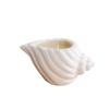 Yubinghua Fosco Personalizado Estilo Ins Simples Escandinavo Concha Copo Vela Aromática de Natal Sala de Estar Castiçais Ornamentos