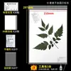 Papel para especímenes de plantas, cartón, papel para especímenes, papel absorbente, carpeta para especímenes de plantas, herramientas y materiales para la preparación de especímenes de plantas