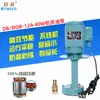 Bomba de agua de refrigeración para máquina herramienta Riyun bomba de aceite DB/DOB-12A monofásica trifásica bomba circulante para electroerosión CNC fresadora rectificadora