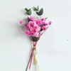 Mini Buquê de Flores Secas Naturais Decoração de Cartão Material DIY Acessórios para Caixa de Presente Lembrança Corsage Transfronteiriço Amazon