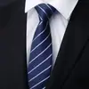 Gravata para Homens e Mulheres, Traje Formal de Negócios, Estilo Zíper Preto, Casamento do Noivo, Estilo Coreano, Estreita, Fácil de Usar, Gravata Borboleta Listrada, Xadrez