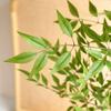 Simulación de una sola rama con múltiples tenedores Nantianzhu Zen Home Tea Room Decoración Adornos de plantas verdes Accesorios de fotografía Simulación de planta verde