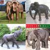 Escultura de Elefante Animal de Bronce Fundido Personalizada, Escultura Grande de Elefante de Zoológico, Adorno de Elefante de Metal para Entrada de Centro Comercial