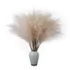 Decoración de Boda Flores Artificiales Estilo Ins, Hierba de Pampa, Juncia y Hierba de Lluvia del Fabricante para Decoración del Hogar, Flores Falsas al por Mayor Transfronterizo y Ramilletes de Mano