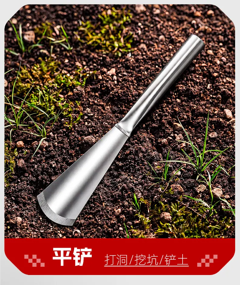 无标_05.jpg