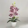 Flor Artificial Phalaenopsis 5 Flores Sala de Estar Casa Flores Artificiais Ornamentos Mesa de Escritório Decoração Fotografia Flores Artificiais