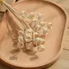Flores Secas de Tongca Difusor de Incienso sin Llama Decoración Minimalista Difusor de Caña Volátil Accesorios DIY Difusor de Fragancia para el Hogar Varillas Difusoras