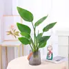 Planta de Ave del Paraíso Hidropónica en Maceta para Escritorio, Estilo Nórdico, Planta de Interior Perenne, Hojas Grandes, Cultivada en Agua, Tolera la Sombra, para Sala de Estar