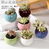 Vaso de Flor Carnuda Cerâmica Atacado Cerâmica Grossa Simples Doméstico Criativo Tamanho Respirável Vaso para Polegar Grande