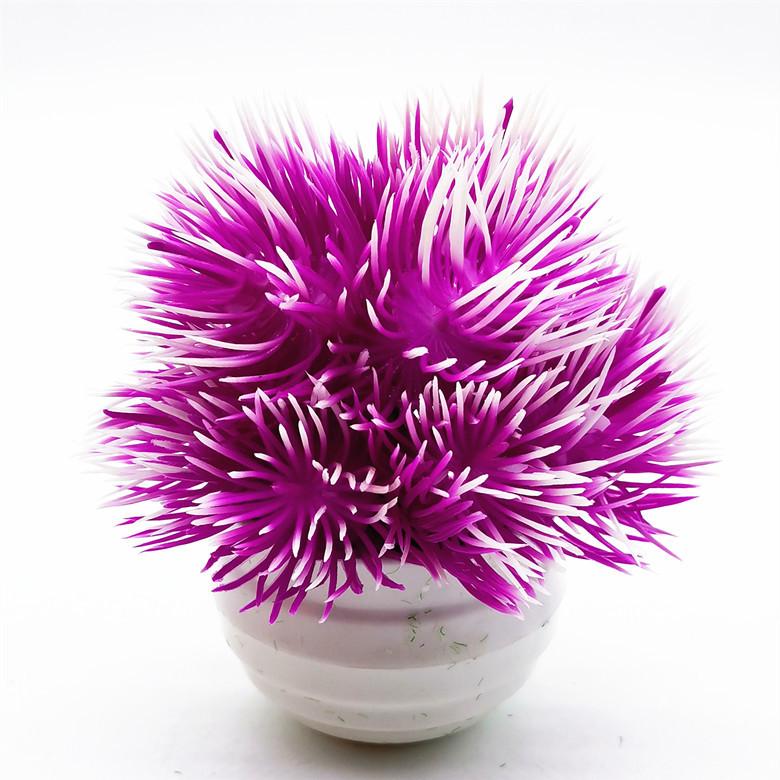 IMG_20220301_152759_副本