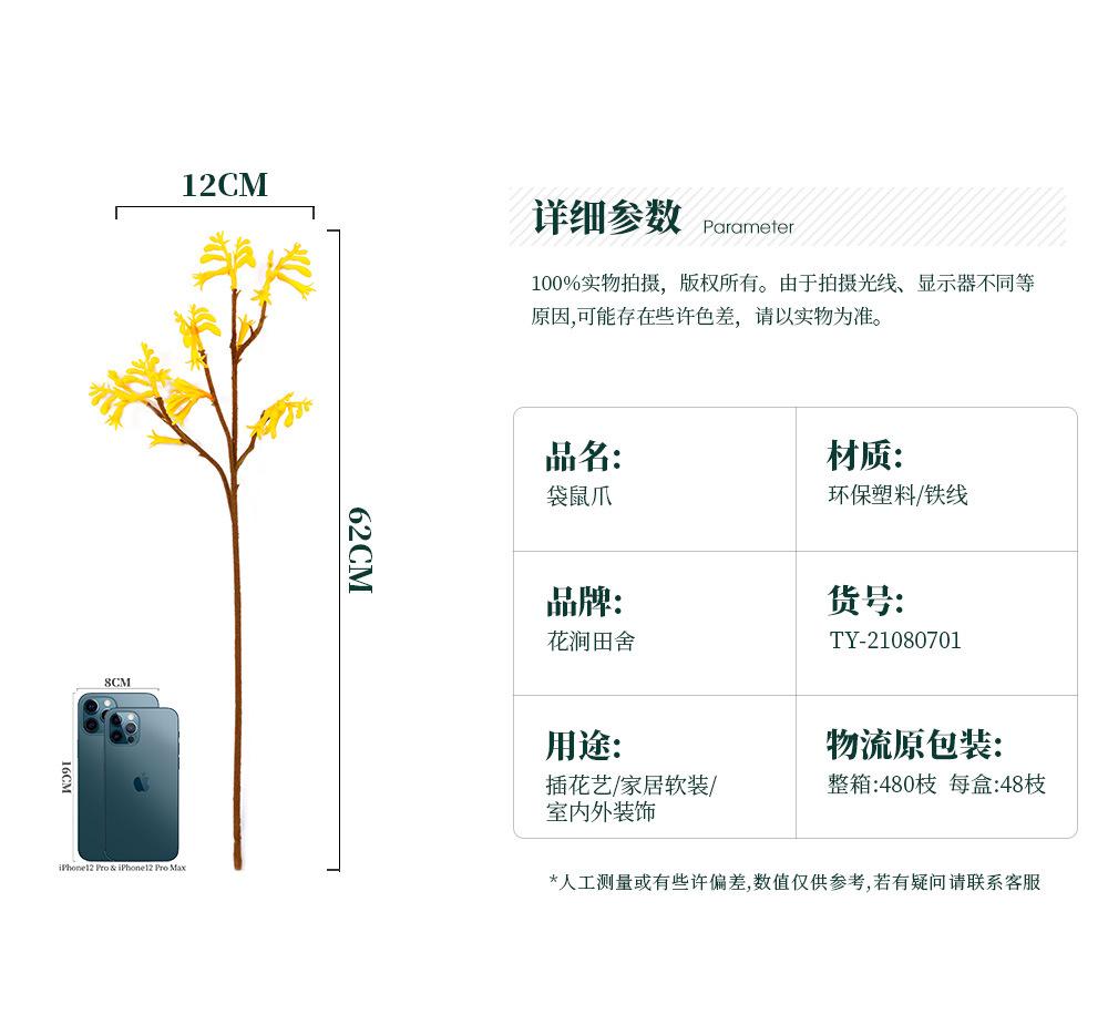 袋鼠爪-8.8_02.jpg