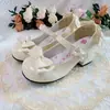 Zapatos Retro de Tacón Medio 2025 Nuevos Populares de Tacón Bajo Estilo Francés Elegantes Girly Lolita Zapatos Mary Jane de Moda