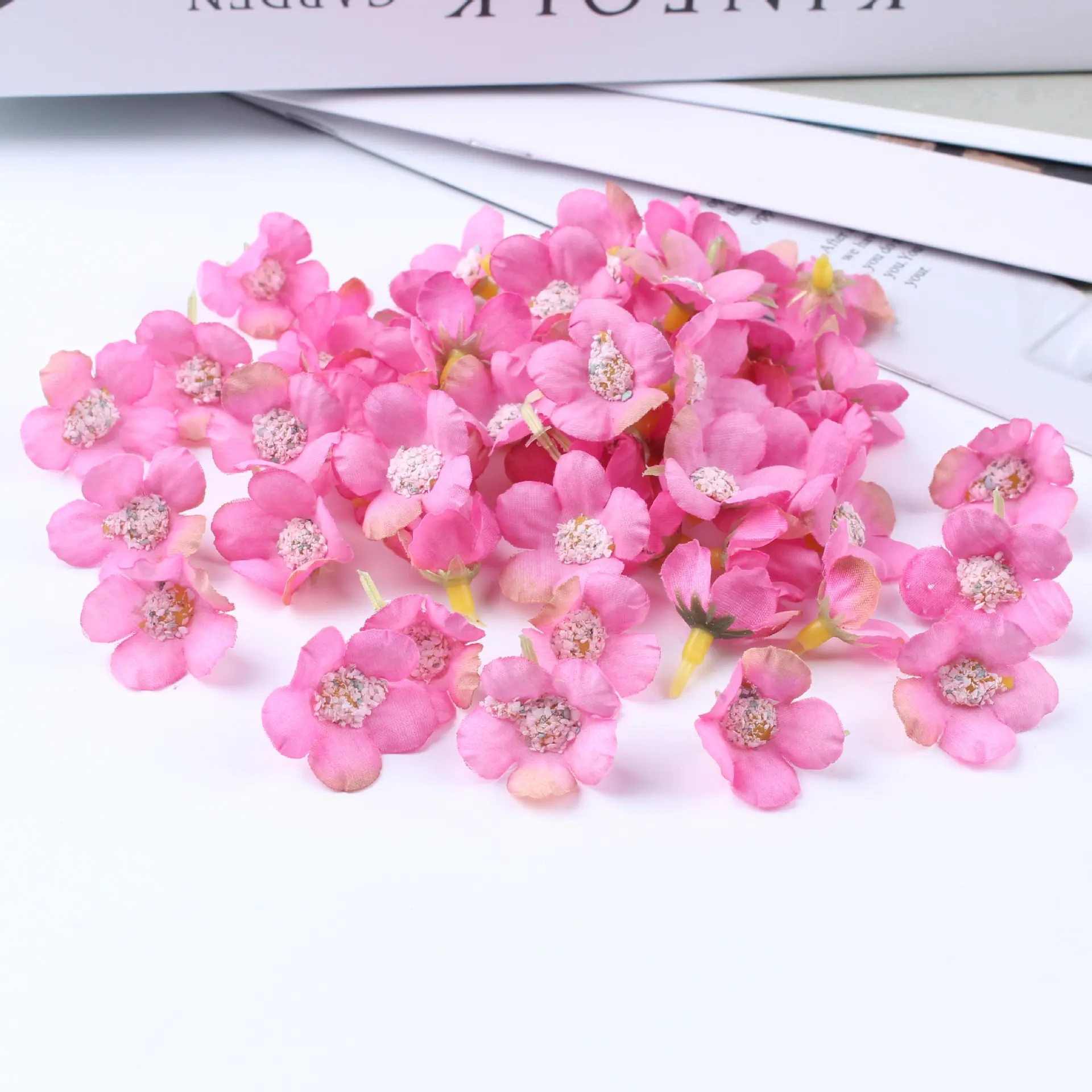 迷你小菊花27