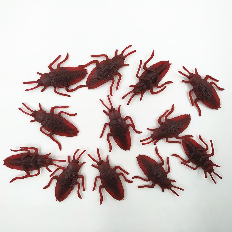 蟑螂