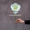 Tulipa Francesa de Abertura Única com Aba de Tulipa Decoração de Mesa para Casa Buquê de Flores de Mão Tulipa Grande Lote de Atacado Transfronteiriço
