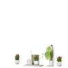 Soporte para Flores para Sala de Estar, Estante de Almacenamiento de Hierro para Interiores, Balcón, Hogar, Soporte de Múltiples Niveles para Macetas, Exhibición de Plantas Verdes