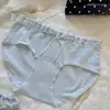 Mantente Apasionada~10A Algodón Puro Antibacteriano con Entrepierna Extendida Ropa Interior 100% Algodón para Mujer, Bragas Ajustadas al Cuerpo, Nuevo Modelo 2025