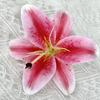 Nueva cabeza de flor de lirio 3D flor artificial decoración del hogar floral accesorios de decoración DIY boda cabeza de flor hecha a mano Venta al por mayor