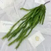 Venda Direta de Fábrica de Grama Cauda de Cachorro Yuxin para Decorações de Eventos em Grandes Shoppings, Decorações de Parede de Plantas para Casamentos, Penduricalhos no Atacado
