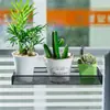 Transformación de estación de trabajo de oficina, estante de almacenamiento de arte en hierro, almacenamiento para alféizar de ventana, soporte para plantas en maceta, gancho para plantas suculentas de escritorio, soporte para flores