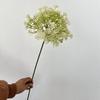 Flor de piedra coliflor silvestre cebolleta bosque salón de bodas área de bienvenida pared de flores arreglo floral flor artificial comercio exterior al por mayor flor artificial