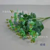 Cacho de Eucalipto Artificial Personalizável Folhas de Eucalipto de 16 Pontas Decoração de Mesa Janela Estilo Nórdico Fotografia
