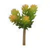 Mini Planta Suculenta Artificial Única Suculenta Falsa Flor Artificial Adorno de Micro Paisaje Oficina Planta Verde Real Artificial Alto