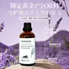 Aceite Esencial Puro de Planta de Lavanda Transfronterizo de 100 ml, Aceite Esencial de Eucalipto Azul para Aromaterapia y Sueño, Muestra de Extracto de Planta