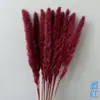 Pequeno Buquê de Flores Secas de Junco Misturado com Flores Secas para Decoração, Junco Cinza Claro, Buquê de Capim-dos-Pampas Transfronteiriço, Flores Imortais