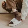 Meias Grossas de Chão Outono e Inverno Meias Quentes Meias Femininas de Listras de Comprimento Médio Meias Versáteis de Inverno Cor Maillard Meia-Calça