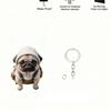 Nuevo Llavero Acrílico Transfronterizo Lindo Perro Teddy 2D Transfronterizo Creativo Cachorro Colgante para Mochila Coche Colgante