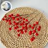 Nuevo Ramo de Flor Artificial Acebo Frutos Rojos Hecho a Medida Fruta Sobredimensionada Fruta Artificial de la Fortuna Flor de Boda Accesorios para Cubo