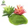 Simulación planta suculenta súper grande tamaño pequeño suculenta bonsái planta verde flor de plástico en maceta micro paisaje con pared vegetal