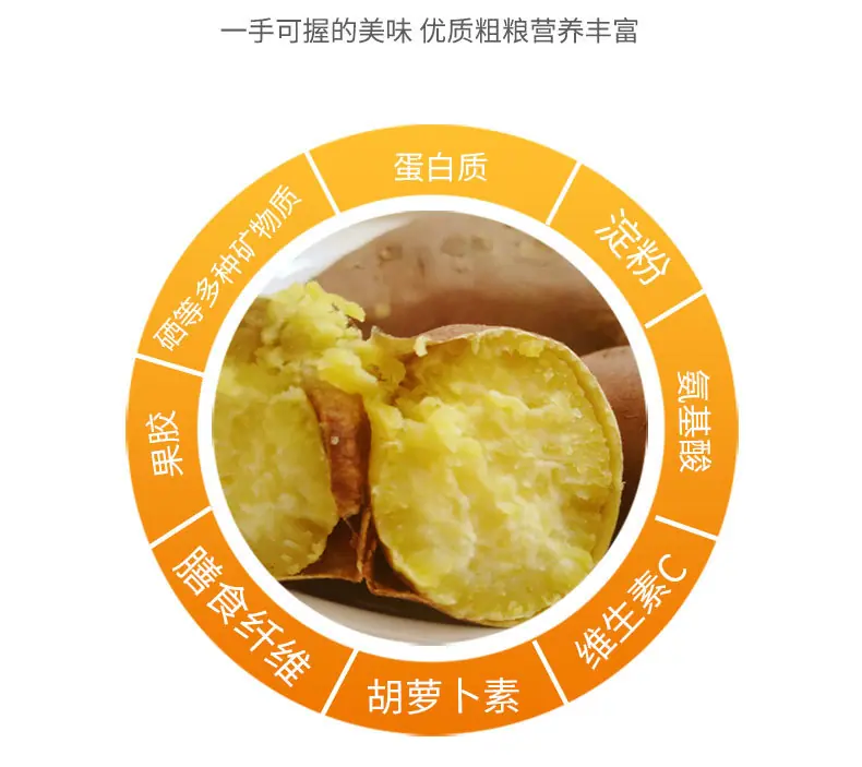 详情790_04.jpg
