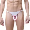 Fabricantes de Panties Sexy al por Mayor Hombres Sexy Transparente Transpirable Cuadros Tanga 3023