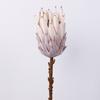 Flores Imperiales Artificiales Secas Estilo Vintage, Flores Falsas de Protea Rey para Bodas de Hotel, Flores Imperiales Artificiales Estilo Europeo al por Mayor