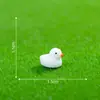 Enfeites de paisagem em miniatura, acessórios para vasos de suculentas, itens decorativos estilo zakka e duas figuras de pato diferentes