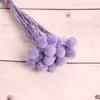 [Vila Zanhua] Yongsheng Flor Bola Dourada Flor Seca Yunnan Buquê Fruta Seca Planta Multicolorida Flor Seca Real Atacado